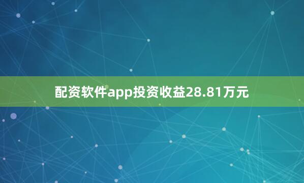 配资软件app投资收益28.81万元