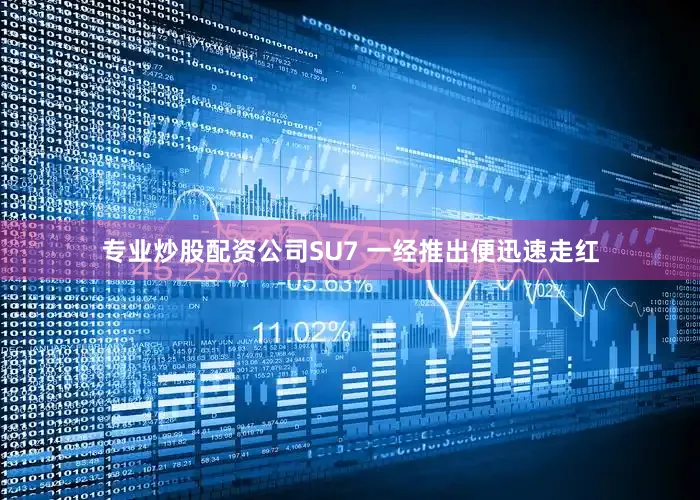 专业炒股配资公司SU7 一经推出便迅速走红