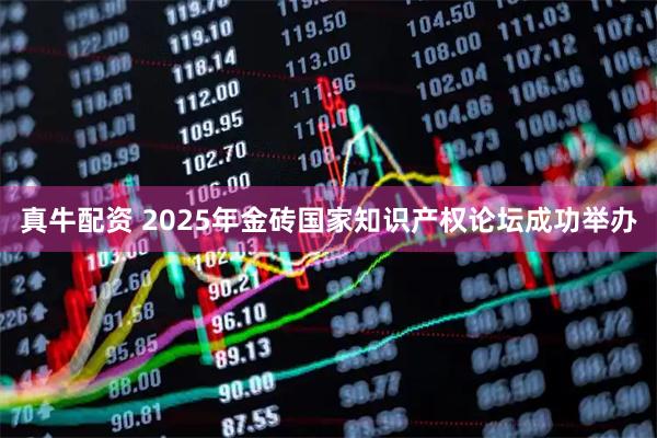 真牛配资 2025年金砖国家知识产权论坛成功举办
