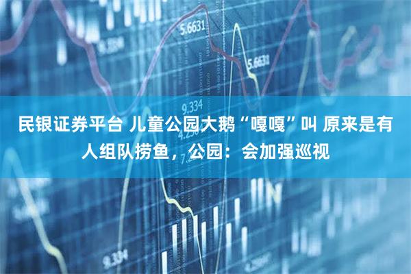 民银证券平台 儿童公园大鹅“嘎嘎”叫 原来是有人组队捞鱼，公园：会加强巡视